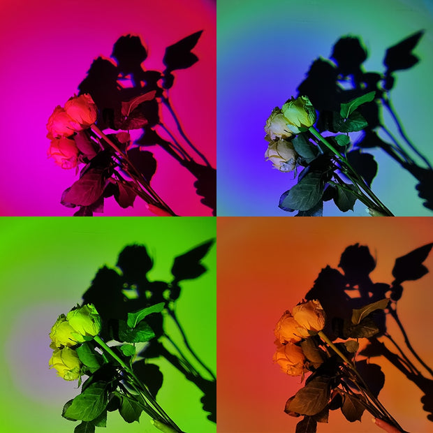 Dual-Head Sunset Lamp