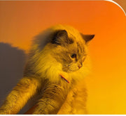 Dual-Head Sunset Lamp